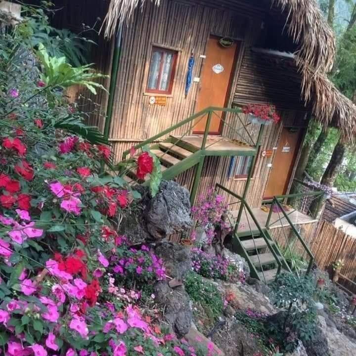 Green Hill Hostel & Tour Ha Giang Exterior foto
